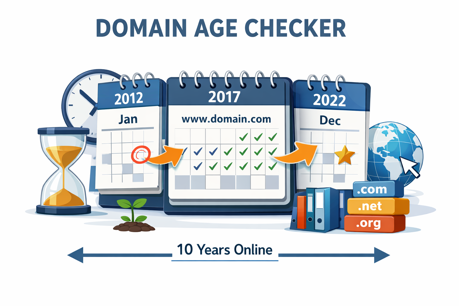 Domain Age Checker